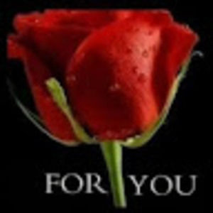 Meet your Posher, Sylvia